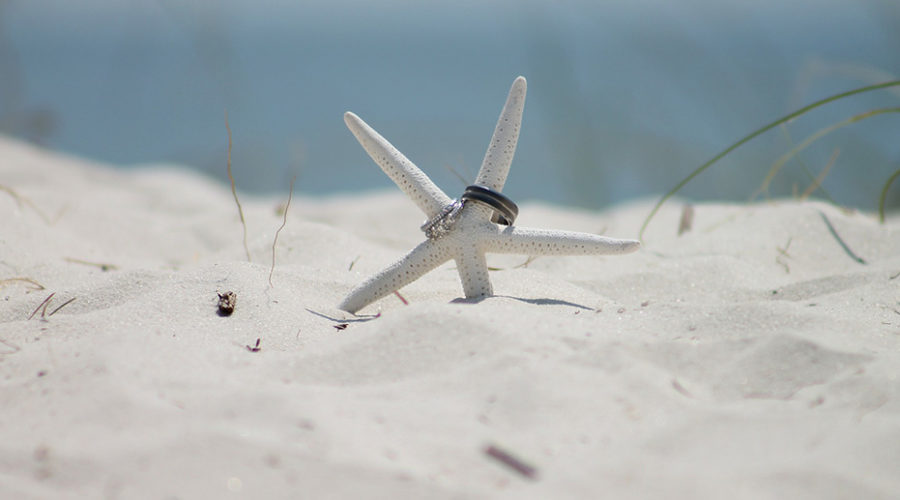 Starfish with wedding rings in the sand of a west coast Florida beach